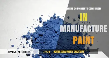 Unveiling the Origins of Pigments in Manufactured Paint