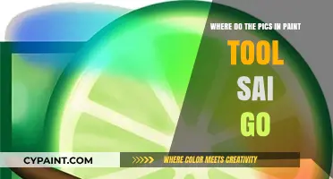 Where Do Paint Tool SAI Pictures Save? A Quick Guide