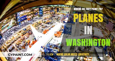 Boeing's Everett Paint Hangar: Where 787 Dreamliners Get Their Colors
