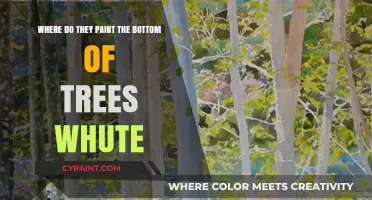 Why Do They Paint Tree Trunks White? Uncovering the Surprising Benefits