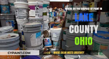 Proper Paint Disposal in Lake County, Ohio: A Guide