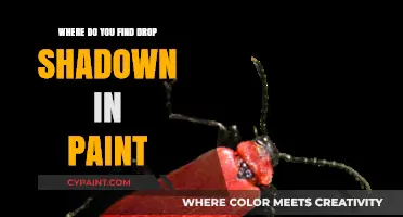 Discovering Drop Shadows: A Guide to Finding Them in Paint