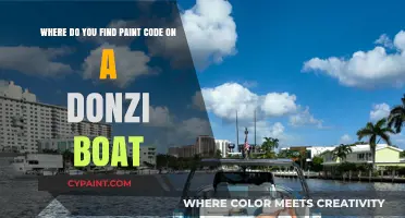 Decoding Donzi: Where to Locate Your Boat's Paint Code