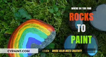 Discovering the Best Spots to Find Rocks for Painting