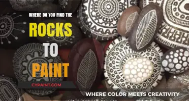 Discover the Best Spots to Find Rocks for Painting