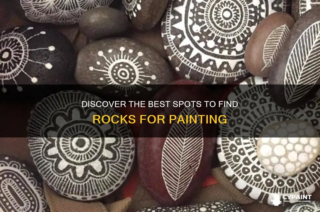 where do you find the rocks to paint