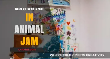 Discover the Best Spots to Paint in Animal Jam