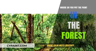Eco-Friendly Forest Art: Where to Place Paint in Nature
