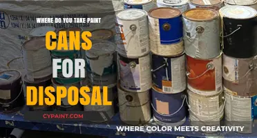 Eco-Friendly Disposal: Your Guide to Proper Paint Can Recycling