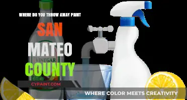 Proper Paint Disposal in San Mateo County: A Quick Guide