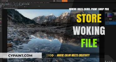Corel PaintShop Pro Working File Storage Location Explained