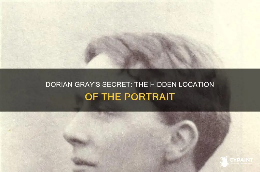 where does dorian gray decide to hide the painting