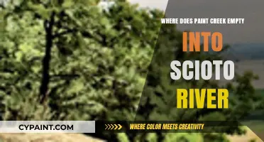 Paint Creek's Journey: Where It Merges with the Scioto River