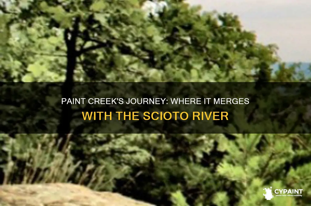 where does paint creek empty into scioto river