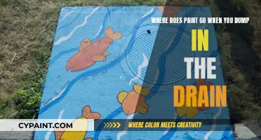 The Hidden Journey: Where Paint Goes When You Dump It Down the Drain