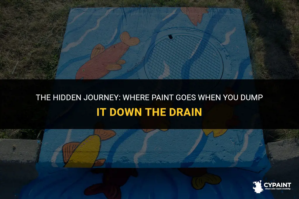 where does paint go when you dump in the drain