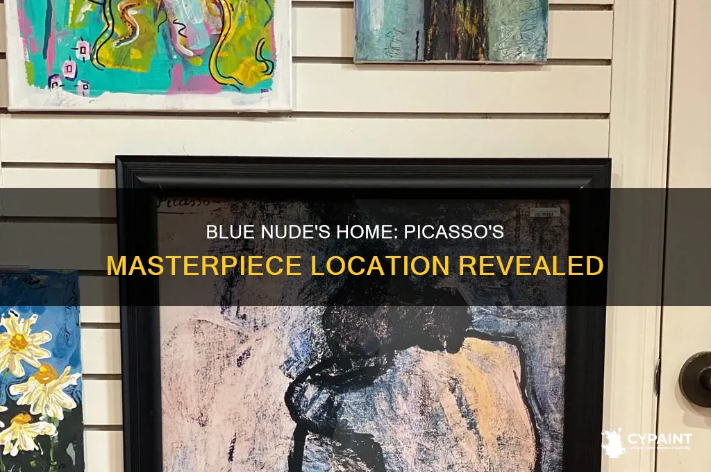 where does picasso