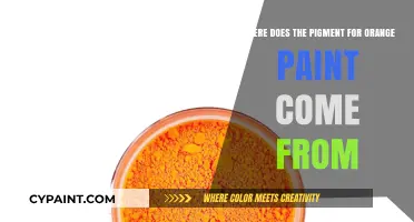 Unveiling the Natural and Synthetic Origins of Orange Paint Pigments