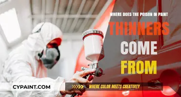 Unveiling the Toxic Origins of Paint Thinner Poison Ingredients