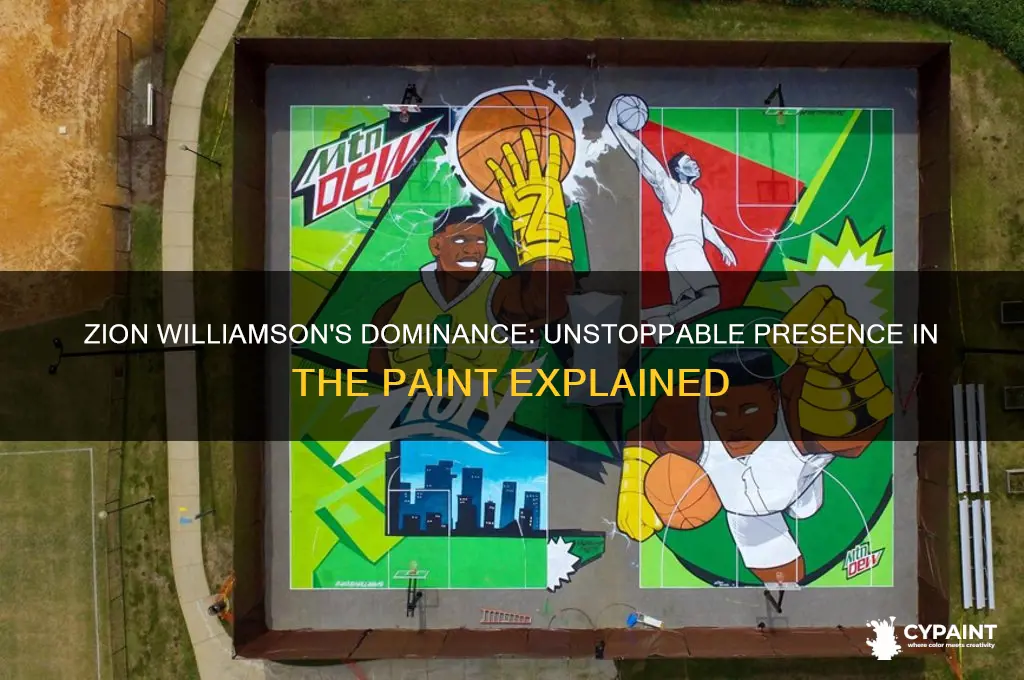 where does zion williamson live in the paint