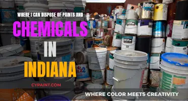 Eco-Friendly Disposal: Where to Recycle Paints and Chemicals in Indiana