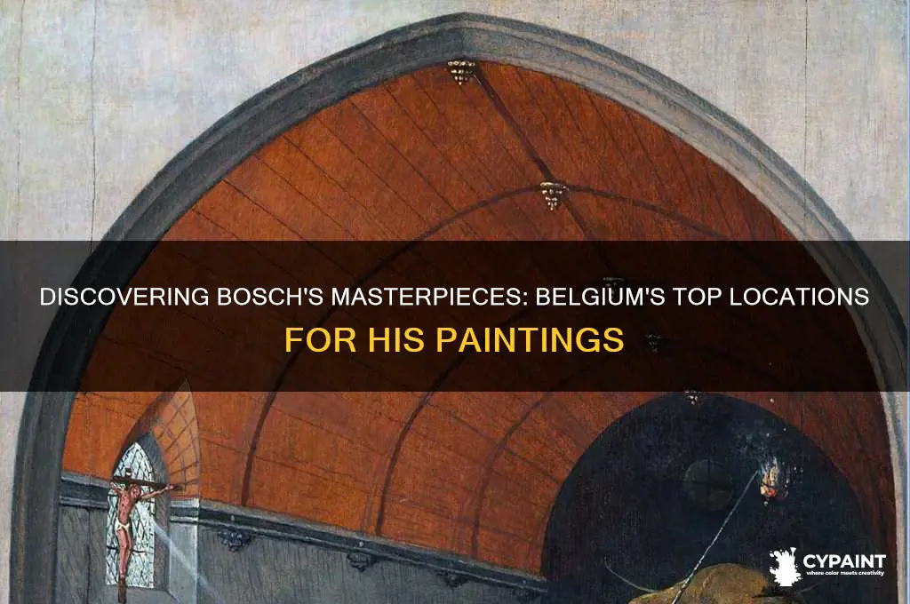 where in belguim are most hieronymus bosch paintings found