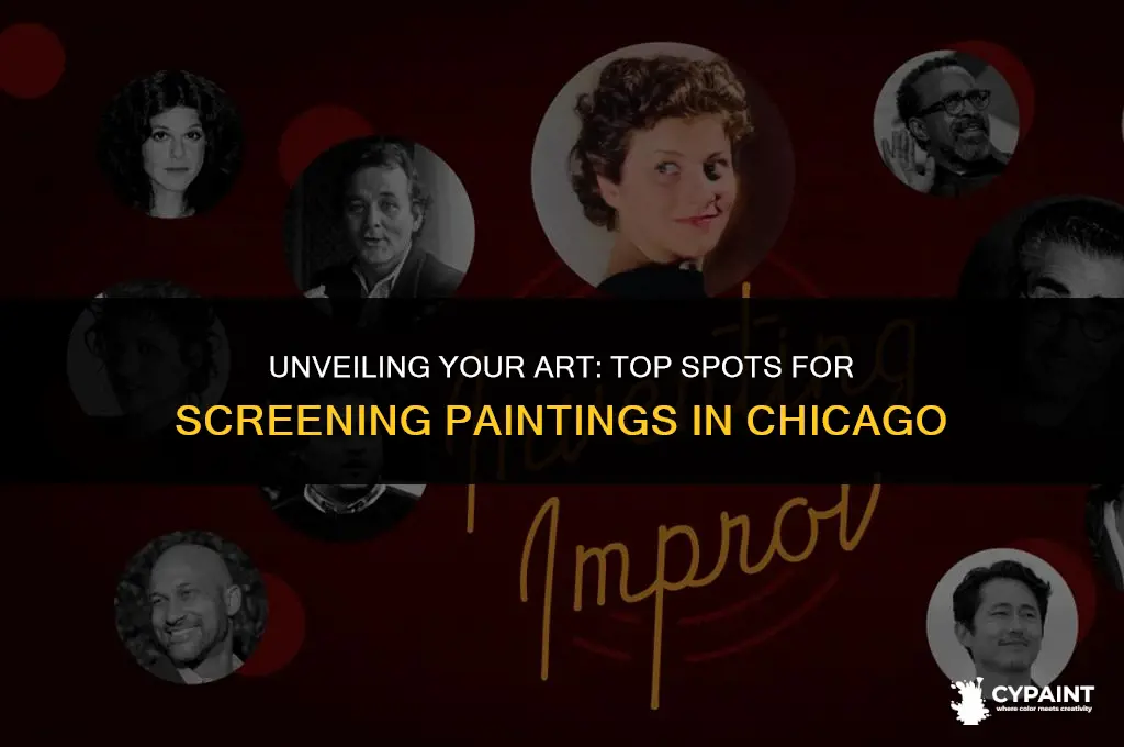 where in chicago can you screen your paintings