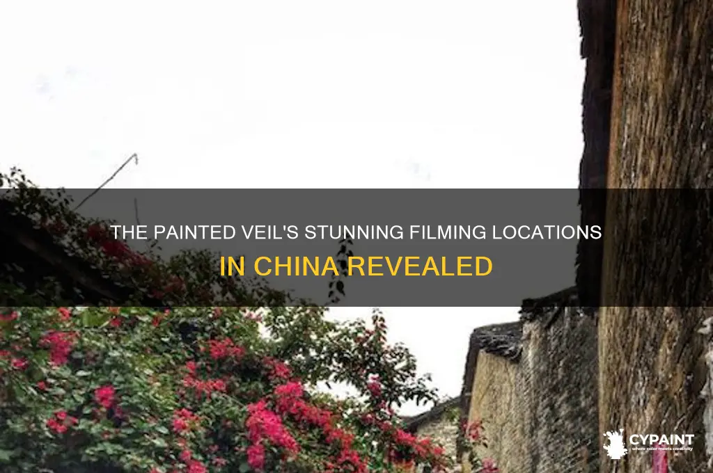 where in china was the painted veil filmed