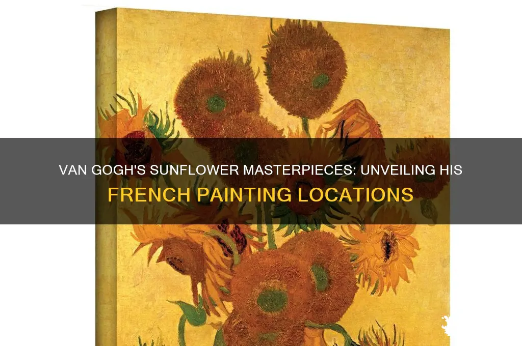 where in france did van gogh paint sunflowers