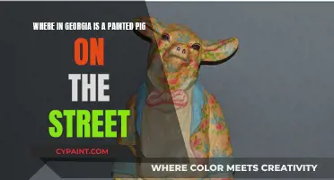 Discovering Georgia's Hidden Gem: The Street Art of Painted Pigs