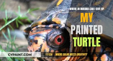 Where to Release Your Painted Turtle in Indiana: A Guide