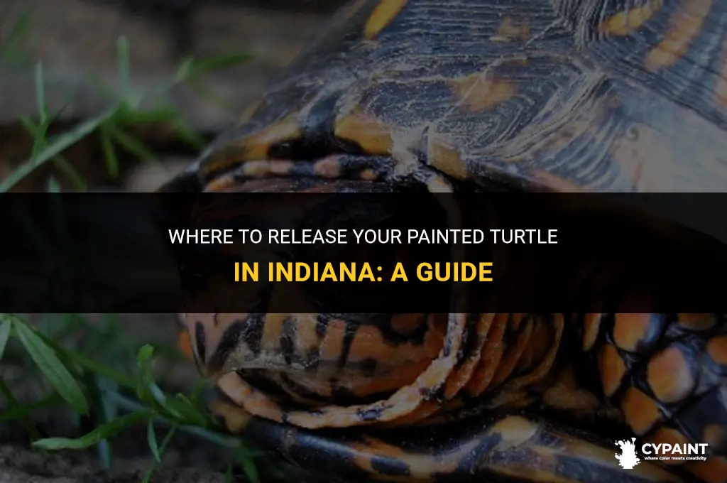 where in indiana can i give up my painted turtle
