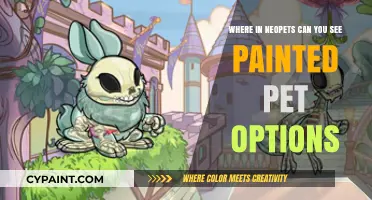 Discover Painted Pet Options in Neopets: A Visual Guide