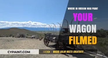 Paint Your Wagon Filming Locations in Oregon Revealed