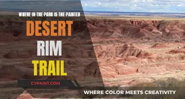 Exploring the Painted Desert Rim Trail: A Guide to Its Location in the Park
