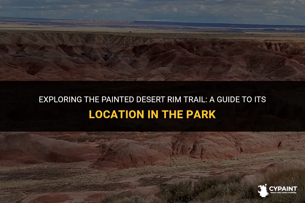 where in the park is the painted desert rim trail