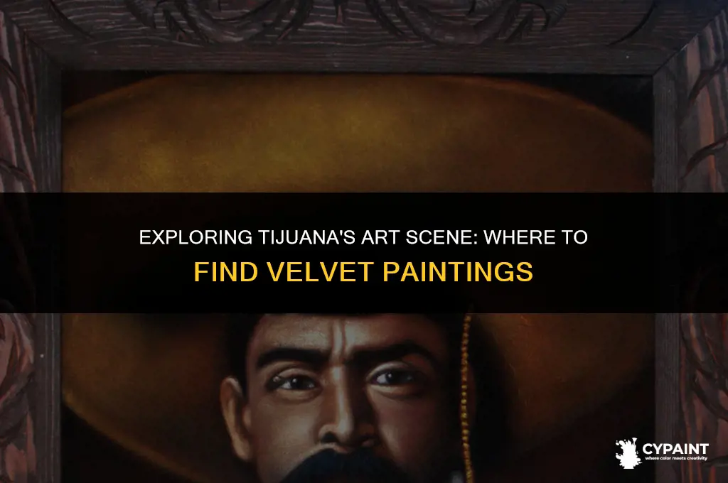 where in tijuana can i find velvet paintings