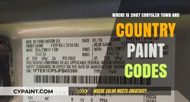 Chrysler Town & Country 2007 Paint Codes Location Guide