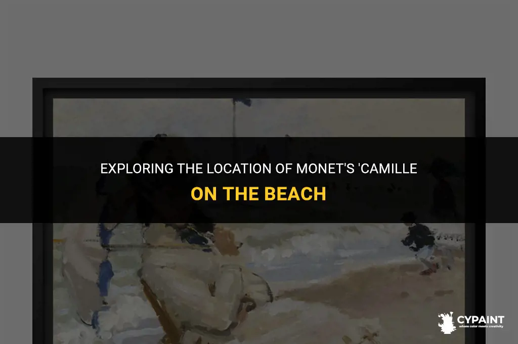 where is claude monets painting camille on the beach loacted