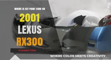 Finding the Exterior Paint Code on a 2001 Lexus RX300