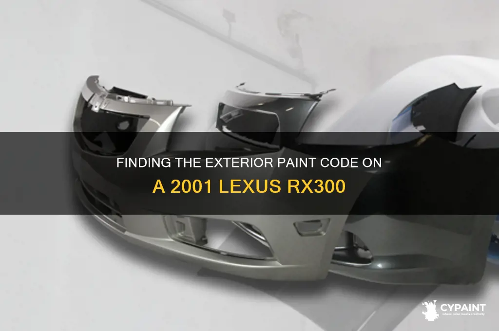 where is ext paint code on 2001 lexus rx300