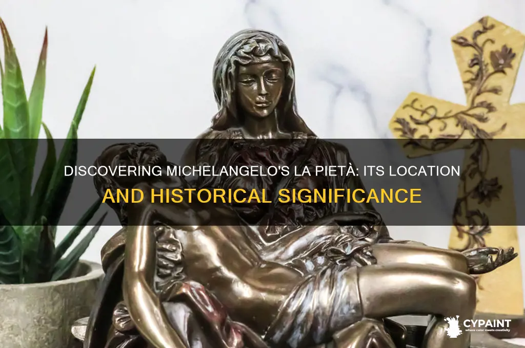 where is located la pieta painted by michelangelo