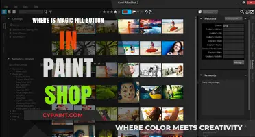 Discover the Magic Fill Button in PaintShop Pro: A Quick Guide