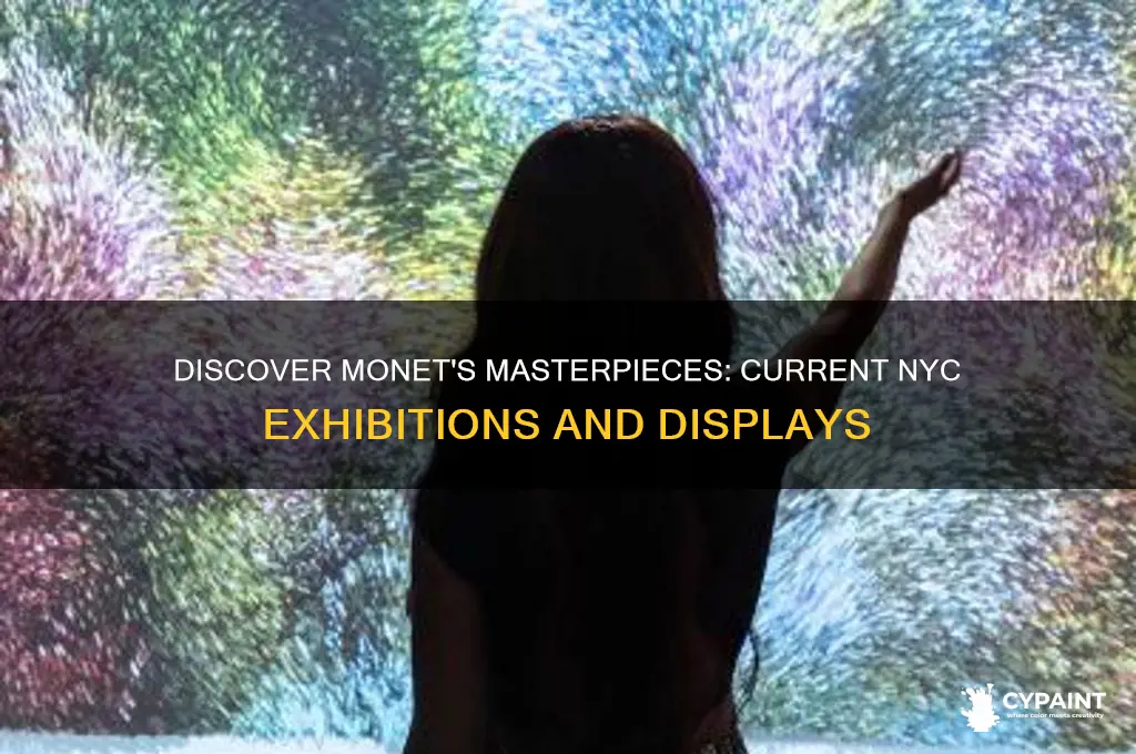 where is monets paintings displayed in nyc currently