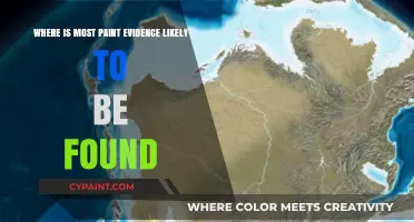 Where Paint Evidence Hides: Key Locations for Forensic Analysis