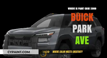 Finding the Paint Code for Your 2000 Buick Park Avenue