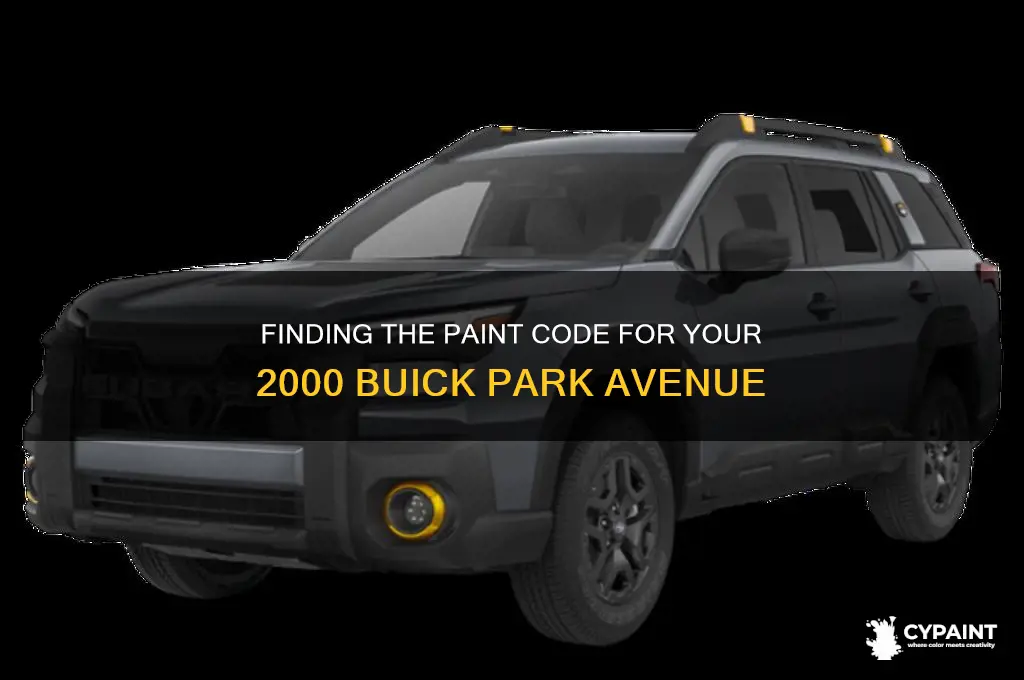 where is paint code 2000 buick park ave