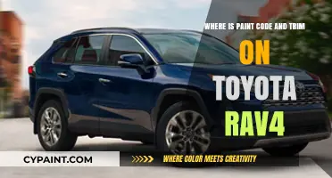 Toyota RAV4 Paint Code and Trim Location Guide
