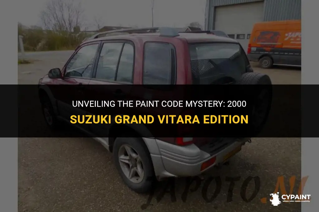 where is paint code located on 2000 suzuki grand vitari