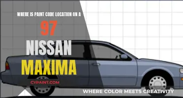 Unlocking the Mystery: Paint Code Location on a '97 Nissan Maxima